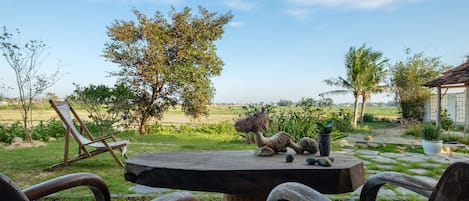 Surrounded by rice fields 