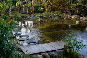 An eco-friendly natural pool