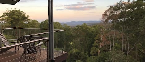 All this is yours - high above the forest looking towards NSW