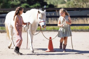 Residential Programs Available