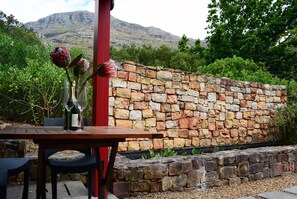 mountain view from private patio