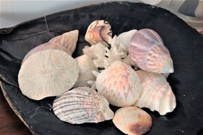 Miscellaneous