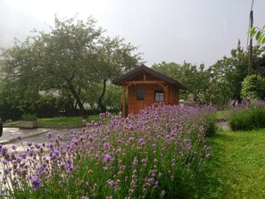 Lavender during storm