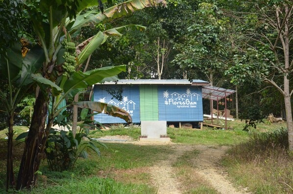 2 bedroom house comfortable for 6 person, have a bar and living room..