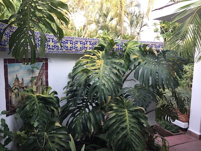 Villa Escondida Privada para parejas, con jardines bien cuidados, piscina, Cabaña y barbacoa. 