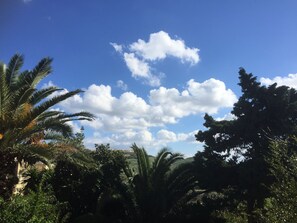 view from bedroom