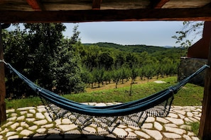 the view of the plum orchad from the terrace