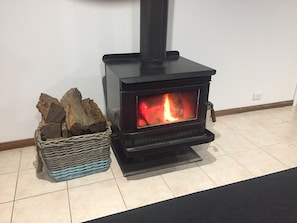 Solid fuel wood heater