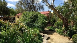 Walkway through garden
