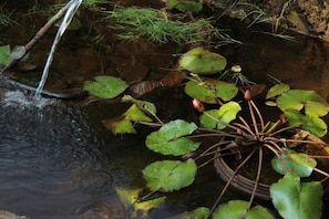 Terrain de l’hébergement 