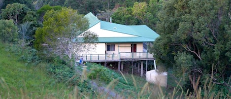 The house ...