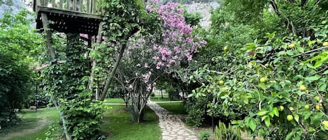 Jardines del alojamiento