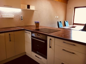 New modern kitchen with oven, dishwasher, refrigenerator and everything you need