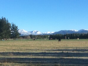 Mountain view 