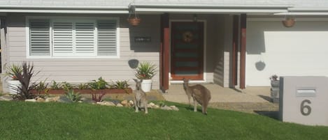 Our friendly neighbours at Sea Breeze Safety Beach B&B