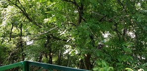 Oklassificerad bild, 4 av 24, knapp