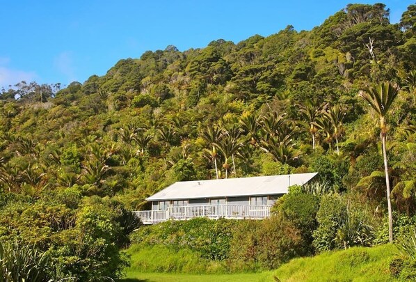 View of the house from the driveway