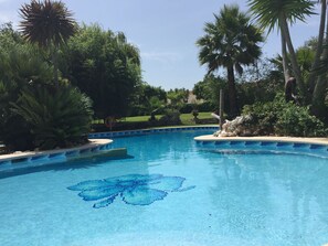 swimming pool view