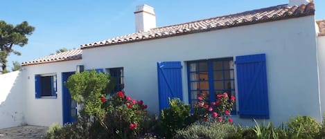 Extérieur