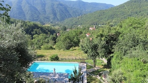 Pool view from the terrace