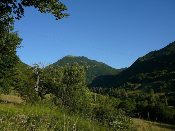 Boendeområde