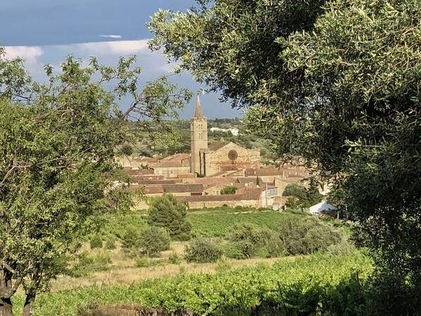 A  historic village nestling among the hills and vineyards (image 1)