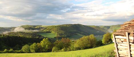 Terrain de l’hébergement 