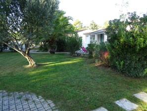 Front garden
