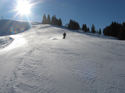 Morillon 1100 Ski. Winter 2020/21 on sale. 