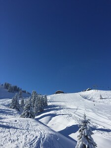 Morillon 1100 Ski. Winter 2020/21 on sale. 