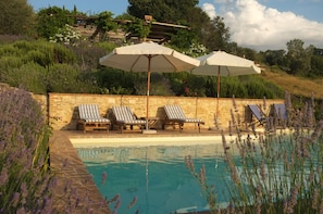 A very private pool for you to enjoy on hot, lazy summer days