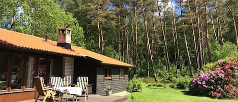 Holzdeck und Wald mit Rhododendron