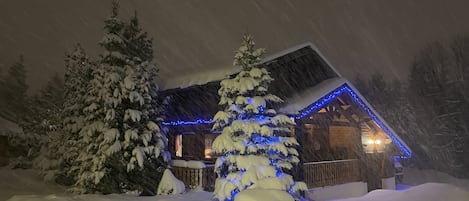 Chalet Bleu in winter