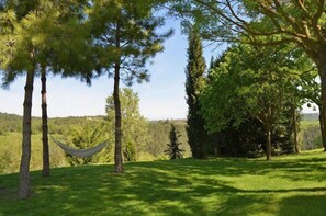 Chill in the shadows of the trees in the huge garden