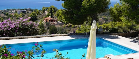 A swimming pool with a view