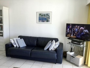 Sky basic English/ French T.V DVD,radio,CD player.Code for internet in Info book