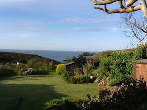 The garden at breakfast time