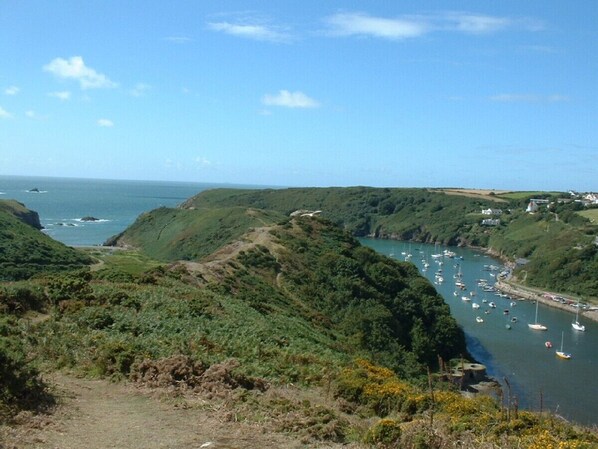 Solva harbour and entrance from coastal path