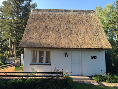 Reetdach-Ferienhaus am Greifswalder Bodden an der Ostsee für 2-3 Personen