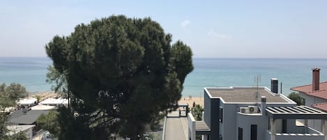 Vue sur la plage/l’océan