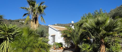 Finca Eduardo mit Palmengarten