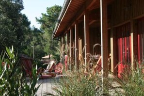 Garden, Park