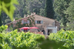 La terrasse au milieu des vignes