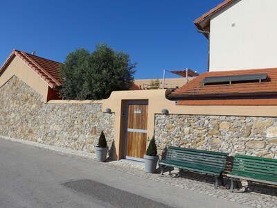 Sao Martinho do Porto -Big Waves apartment in Nazare, near Patio beach