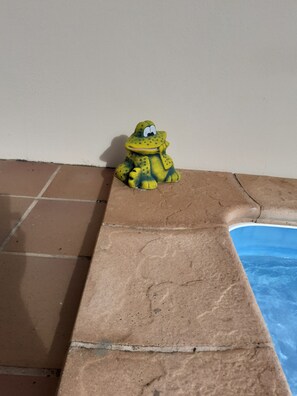 Ra the Frog