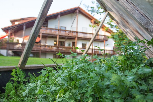 Südbalkon Blick vom Garten