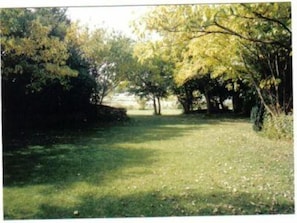 Garden, Park