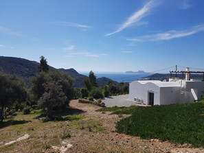 Der Blick auf das Haus vom oberen Teil des Grundstücks