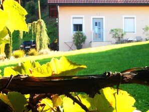 Ein Blick aus der Weinlaube zur Ferienwohnung