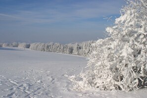 Snow and ski sports